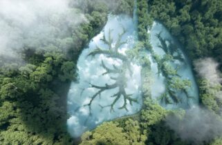 ISO 14001 Система экологического менеджмента ISO 14001 Система экологического менеджмента