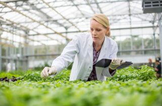 Сертифікація FSSC 22000. Якість та безпечність харчових продуктів Сертифікація FSSC 22000. Якість та безпечність харчових продуктів