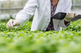 Сертификация FSSC 22000 — Система управления безопасностью пищевых продуктов