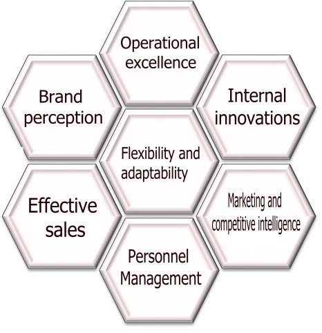 HOW TO BECOME A SUCCESSFUL COMPANY