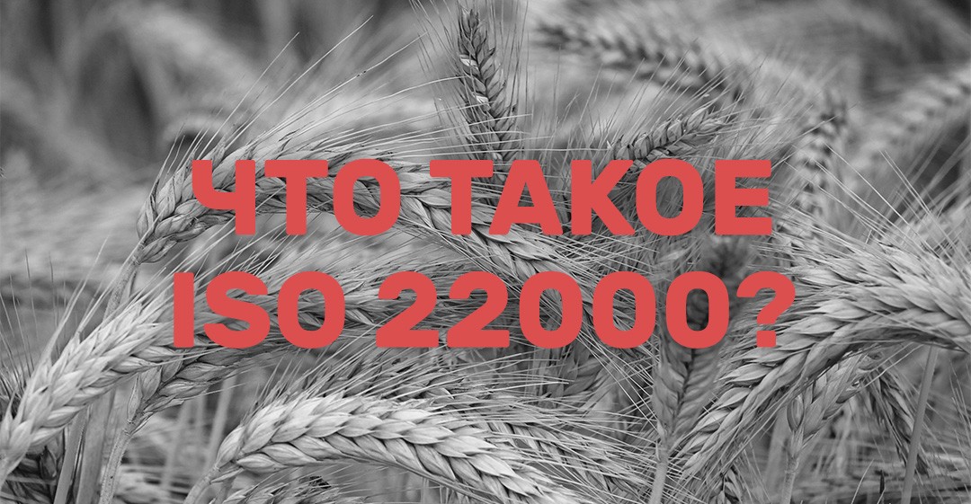 Что такое ISO 22000